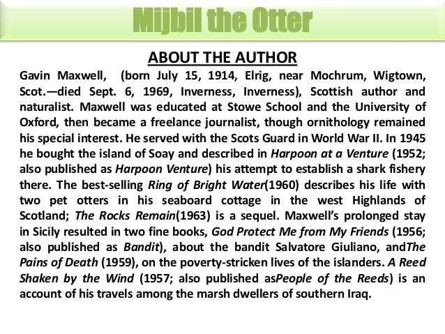 Mijbil the otter presentation