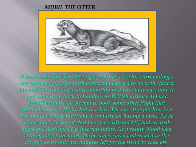 Mijbil T he Otter PPT.pptx assfdhfkkcdhcdncve | PPT