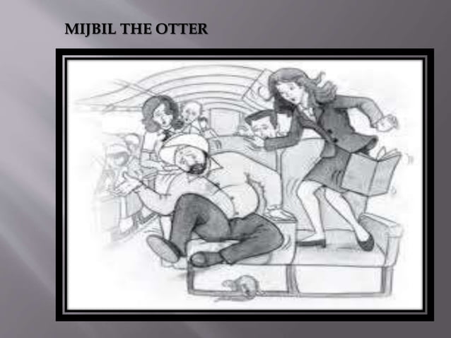 Mijbil T he Otter PPT.pptx assfdhfkkcdhcdncve | PPT