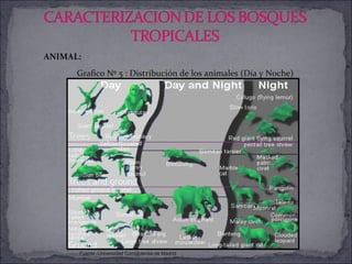 Grafico Nº 5 : Distribución de los animales (Día y Noche) Fuente: Universidad Complutense de Madrid  ANIMAL: 
