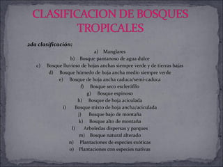 2da clasificación: a)  Manglares b)    Bosque pantanoso de agua dulce c)     Bosque lluvioso de hojas anchas siempre verde y de tierras bajas d)     Bosque húmedo de hoja ancha medio siempre verde e)     Bosque de hoja ancha caduca/semi-caduca f)     Bosque seco esclerófilo g)     Bosque espinoso h)     Bosque de hoja aciculada i)       Bosque mixto de hoja ancha/aciculada j)      Bosque bajo de montaña k)     Bosque alto de montaña l)       Arboledas dispersas y parques m)    Bosque natural alterado n)     Plantaciones de especies exóticas o)    Plantaciones con especies nativas 