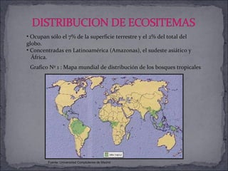 Grafico Nº 1 : Mapa mundial de distribución de los bosques tropicales Fuente: Universidad Complutense de Madrid  ,[object Object],[object Object],[object Object]