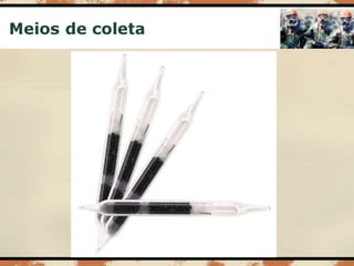 Aula 003   risco químico - coleta