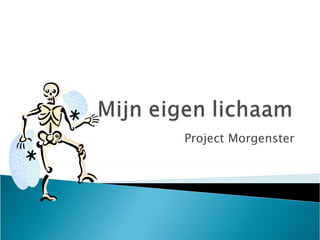 Project Morgenster 