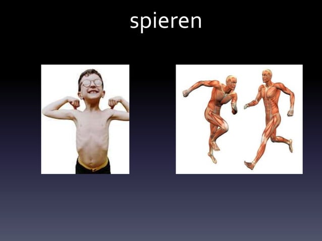Mijn lichaam groep 1 jan14 | PPT