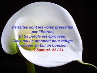 Dieu Ne Se Trompe Jamais
