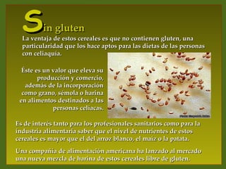 S      in gluten
  La ventaja de estos cereales es que no contienen gluten, una
  particularidad que los hace aptos para las dietas de las personas
  con celiaquía.

  Éste es un valor que eleva su
        producción y comercio,
   además de la incorporación
  como grano, sémola o harina
 en alimentos destinados a las
             personas celíacas.

Es de interés tanto para los profesionales sanitarios como para la
industria alimentaria saber que el nivel de nutrientes de estos
cereales es mayor que el del arroz blanco, el maíz o la patata.
Una compañía de alimentación americana ha lanzado al mercado
una nueva mezcla de harina de estos cereales libre de gluten.
 
