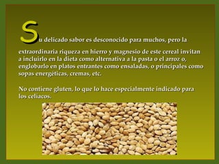 S      u delicado sabor es desconocido para muchos, pero la
extraordinaria riqueza en hierro y magnesio de este cereal invitan
a incluirlo en la dieta como alternativa a la pasta o el arroz o,
englobarlo en platos entrantes como ensaladas, o principales como
sopas energéticas, cremas, etc.

No contiene gluten, lo que lo hace especialmente indicado para
los celíacos.
 