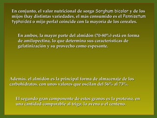En conjunto, el valor nutricional de sorgo Sorghum bicolor y de los
 mijos (hay distintas variedades, el más consumido es el Pennisetum
 typhoides o mijo perla) coincide con la mayoría de los cereales.


    En ambos, la mayor parte del almidón (70-80%) está en forma
    de amilopectina, lo que determina sus características de
    gelatinización y su provecho como espesante.




Además, el almidón es la principal forma de almacenaje de los
carbohidratos, con unos valores que oscilan del 56% al 73%.


   El segundo gran componente de estos granos es la proteína, en
   una cantidad comparable al trigo, la avena o el centeno.
 