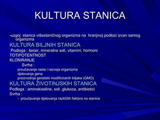 KULTURA STANICA -uzgoj  stanica višestaničnog organizma na  hranjivoj podlozi izvan samog organizma  KULTURA BILJNIH STANICA Podloga : šećer, mineralne soli, vitamini, hormoni TOTIPOTENTNOST KLONIRANJE Svrha : proučavanje rasta i razvoja organizma  djelovanja gena proizvodnja genetski modificiranih biljaka (GMO) KULTURA ŽIVOTINJSKIH STANICA Podloga : aminokiseline, soli ,glukoza, antibiotici  Svrha : -  proučavanje djelovanja različitih faktora na stanice 