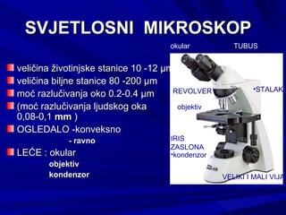 SVJETLOSNI  MIKROSKOP  veličina životinjske stanice 10 -12 µm veličina biljne stanice 80 -200 µm moć razlučivanja oko 0.2-0.4 µm (moć razlučivanja ljudskog oka 0,08-0,1  mm  ) OGLEDALO -konveksno  - ravno LEĆE : okular  objektiv kondenzor TUBUS REVOLVER IRIS ZASLONA STALAK VELIKI I MALI VIJAK okular objektiv kondenzor 