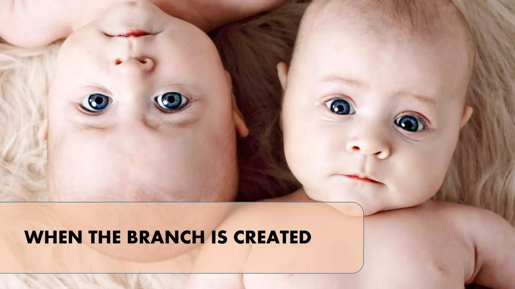 WHEN THE BRANCH IS CREATED

 