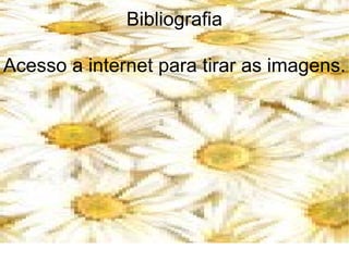 Bibliografia

Acesso a internet para tirar as imagens.
 