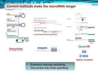 Microrna Probe Two-Tailed PCR - New Ultrasensitive and Ultraspecific Technique for the ...