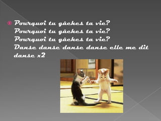    Pourquoi tu gâches   ta vie?
    Pourquoi tu gâches   ta vie?
    Pourquoi tu gâches   ta vie?
    Danse danse danse    danse elle me dit
    danse x2
 