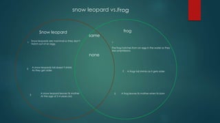 snow leopard vs.
same
frogSnow leopard
The frog hatches from an egg in the water so they
Are amphibians.
1 1
Frog
Snow leopards are mammal so they don’t
Hatch out of an egg.
2
A snow leopards tail doesn’t shrink
As they get older. 2 A frogs tail shrinks as it gets older.
3 3 A frog leaves its mother when its bornA snow leopard leaves its mother
At the age of 2-4 years old.
none
 
