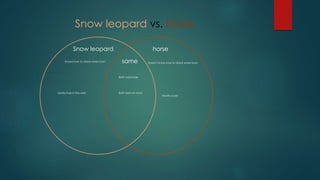 Snow leopard vs. horse
Snow leopard
same
horse
Both mammals
Knows how to stand when born Doesn't know how to stand when born
Both born on landMostly lives in the wild
Mostly a pet
 