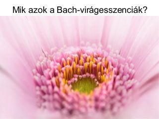 Mik azok a Bach-virágesszenciák?
 