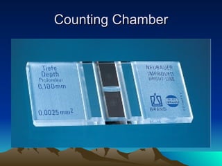 Counting Chamber 