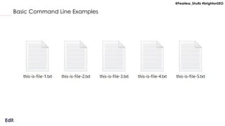 @Fearless_Shultz #brightonSEO
Basic Command Line Examples
 