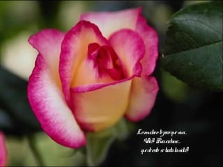 Lomu ool pocoqu viva…
ch o e
V ! Recu dame…
ida! er
qu de esto se tr l vida!
e ata a !