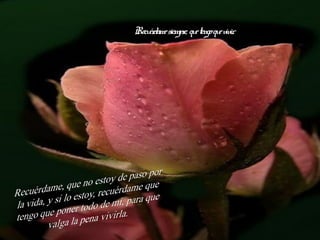 Recu dame siempr qu tengoqu vivir
ér e, e e .