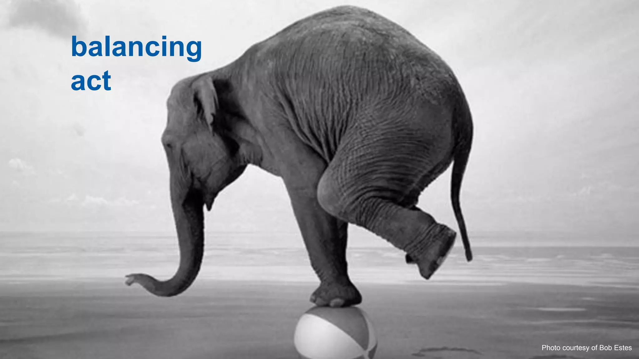 balancing
act




            Photo courtesy of Bob Estes
                                20
 