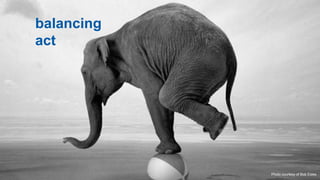 balancing
act




            Photo courtesy of Bob Estes
                                20
 