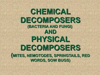 CHEMICAL DECOMPOSERS (BACTERIA AND FUNGI)  AND PHYSICAL DECOMPOSERS ( MITES, NEMOTODES, SPRINGTAILS, RED WORDS, SOW BUGS) 