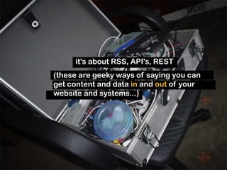 If you love something, set it free