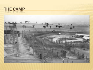 The camp