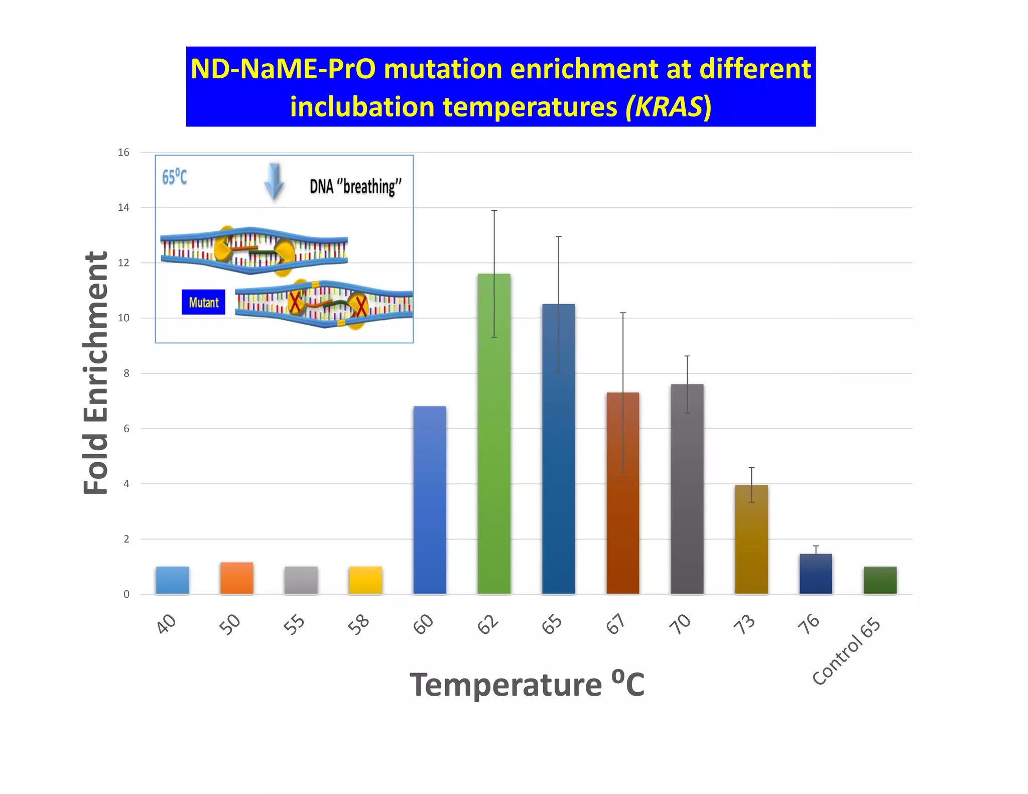 0
2
4
6
8
10
12
14
16
Fold Enrichment
Temperature ⁰C
ND‐NaME‐PrO mutation enrichment at different 
inclubation temperatures (KRAS)
 
