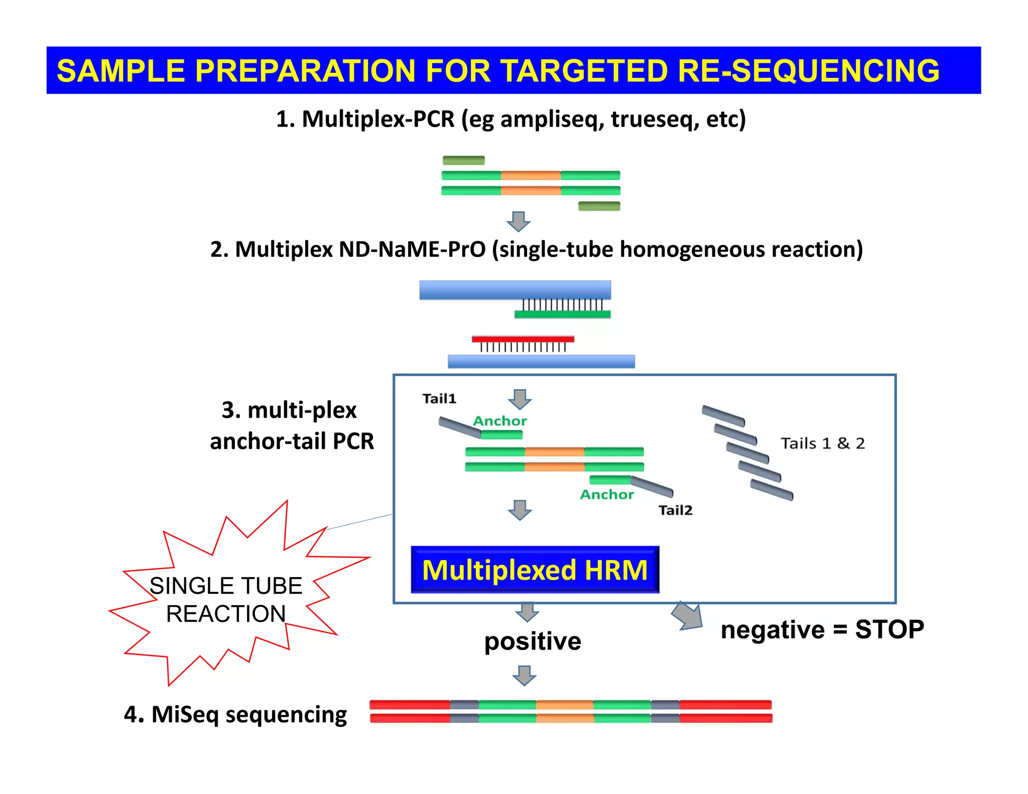 SAMPLE PREPARATION FOR TARGETED RE-SEQUENCING
1. Multiplex‐PCR (eg ampliseq, trueseq, etc)
Multiplexed HRM
4. MiSeq sequencing
positive negative = STOP
3. multi‐plex
anchor‐tail PCR
2. Multiplex ND‐NaME‐PrO (single‐tube homogeneous reaction)
SINGLE TUBE
REACTION
 