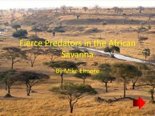 Fierce Predators in the African
           Savanna
         By Mike Elmore
 