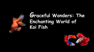 Graceful Wonders: The
Enchanting World of
Koi Fish
 