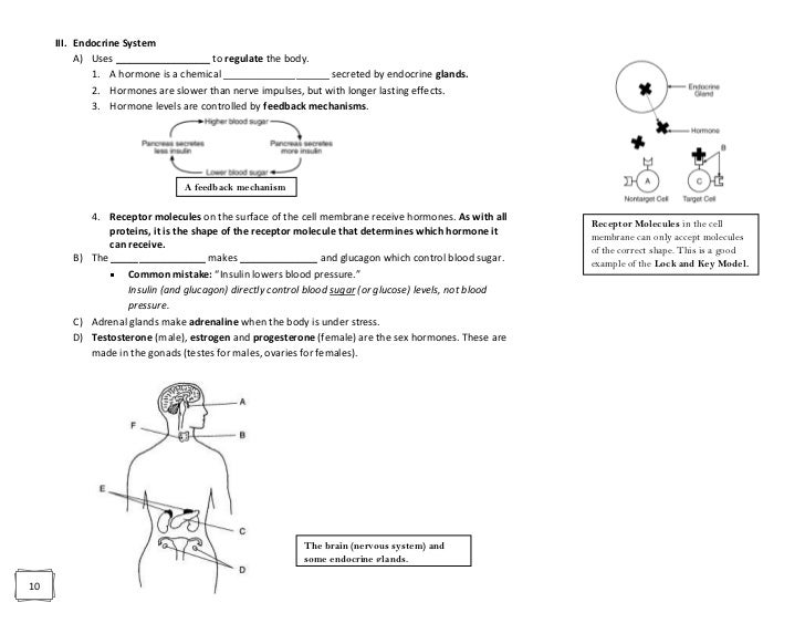 ap bio plant hormone pogil Plant hormones pogil ap biology answers plant hormones pogil ap biology answers - title ebooks : plant hormones pogil ap biology answers - category : kindle. ap bio plant hormone pogil Plant hormones pogil ap biology answers plant hormones pogil ap biology answers - title ebooks : plant hormones pogil ap biology answers - category : kindle.