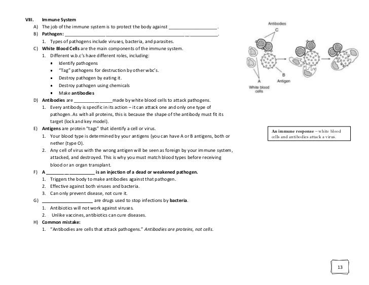 Biology Regents Review Packet with Blanks