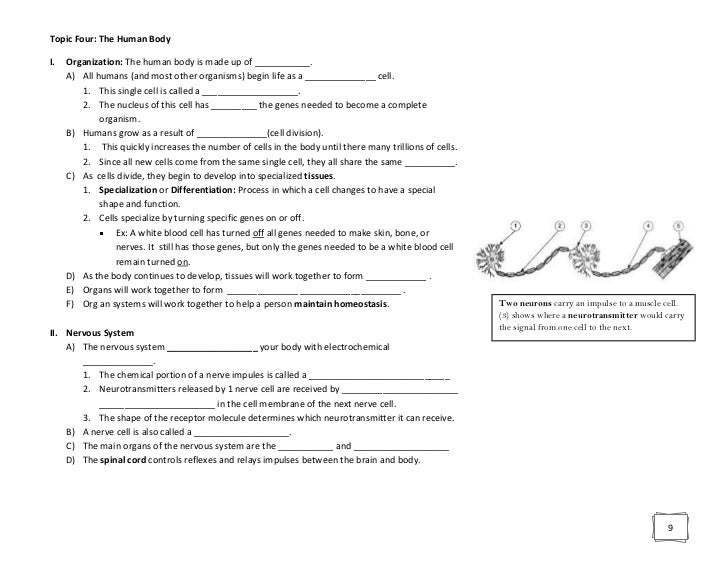 Biology Regents Review Packet with Blanks