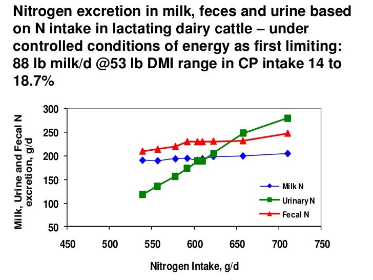 How Low Can We Go Nitrogen in Dairy Rations Mike Van Amburgh