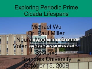 Exploring Periodic Prime Cicada Lifespans Michael Wu Dr. Paul Miller Neural Modeling Group Volen Center for Complex Systems Brandeis University October 15, 2009 