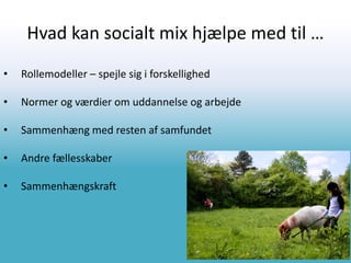 Hvad kan socialt mix hjælpe med til …
• Rollemodeller – spejle sig i forskellighed
• Normer og værdier om uddannelse og arbejde
• Sammenhæng med resten af samfundet
• Andre fællesskaber
• Sammenhængskraft
 