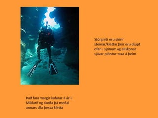 Miklarif 1000% tilbuid