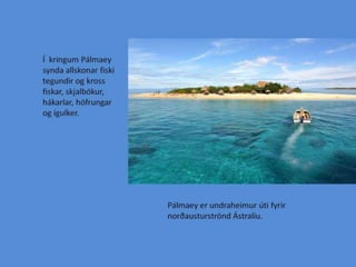 Miklarif 1000% tilbuid