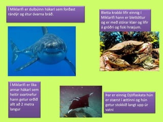 Miklarif 1000% tilbuid