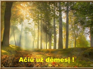 Ačiū už dėmesį !
 