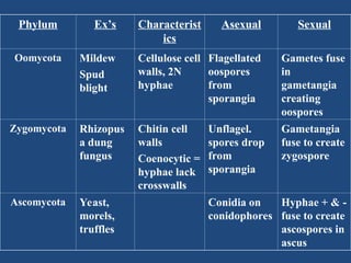 Phylum Ex mikologi; ruang lingkup fungsi, dan patogennya pada manusia.ppt