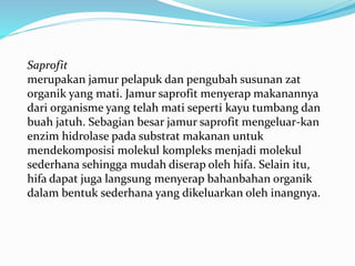 Saprofit
merupakan jamur pelapuk dan pengubah susunan zat
organik yang mati. Jamur saprofit menyerap makanannya
dari organisme yang telah mati seperti kayu tumbang dan
buah jatuh. Sebagian besar jamur saprofit mengeluar-kan
enzim hidrolase pada substrat makanan untuk
mendekomposisi molekul kompleks menjadi molekul
sederhana sehingga mudah diserap oleh hifa. Selain itu,
hifa dapat juga langsung menyerap bahanbahan organik
dalam bentuk sederhana yang dikeluarkan oleh inangnya.
 