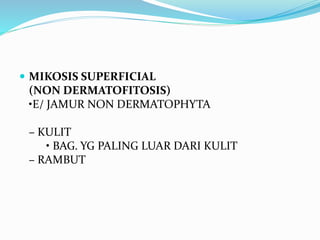  MIKOSIS SUPERFICIAL
(NON DERMATOFITOSIS)
•E/ JAMUR NON DERMATOPHYTA
– KULIT
• BAG. YG PALING LUAR DARI KULIT
– RAMBUT
 