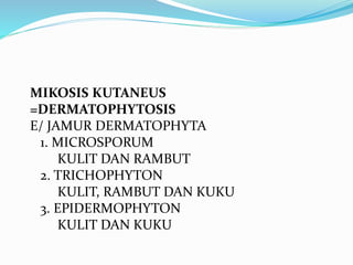 MIKOSIS KUTANEUS
=DERMATOPHYTOSIS
E/ JAMUR DERMATOPHYTA
1. MICROSPORUM
KULIT DAN RAMBUT
2. TRICHOPHYTON
KULIT, RAMBUT DAN KUKU
3. EPIDERMOPHYTON
KULIT DAN KUKU
 