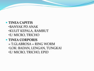  TINEA CAPITIS
•BANYAK PD ANAK
•KULIT KEPALA, RAMBUT
•E/ MICRO, TRICHO
 TINEA CORPORIS
= T.GLABROSA = RING WORM
•LOK: BADAN, LENGAN, TUNGKAI
•E/ MICRO, TRICHO, EPID
 